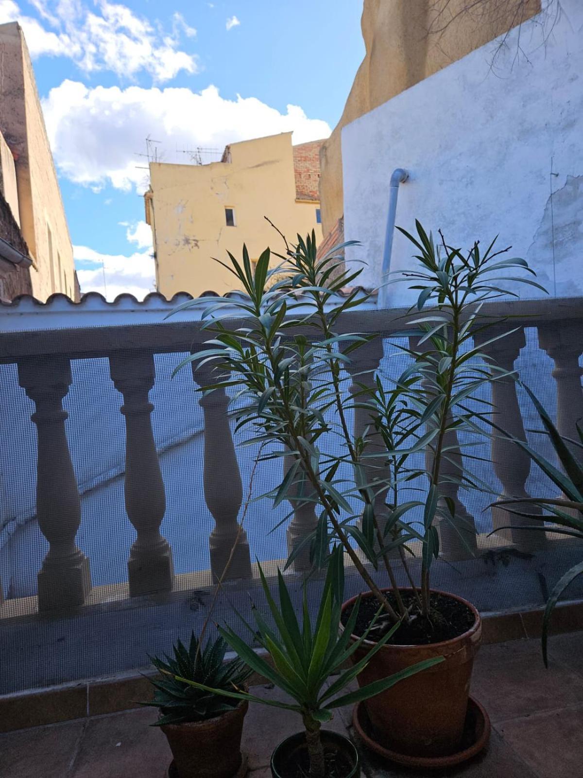 River Ebro Apartments Mora d'Ebre Exterior photo